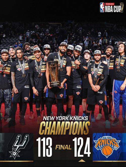 nba总冠军什么赛？nba总冠军是一年一次吗？