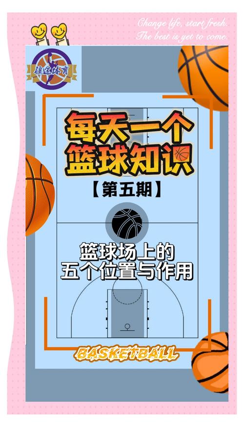 nba位置分布，nba位置图