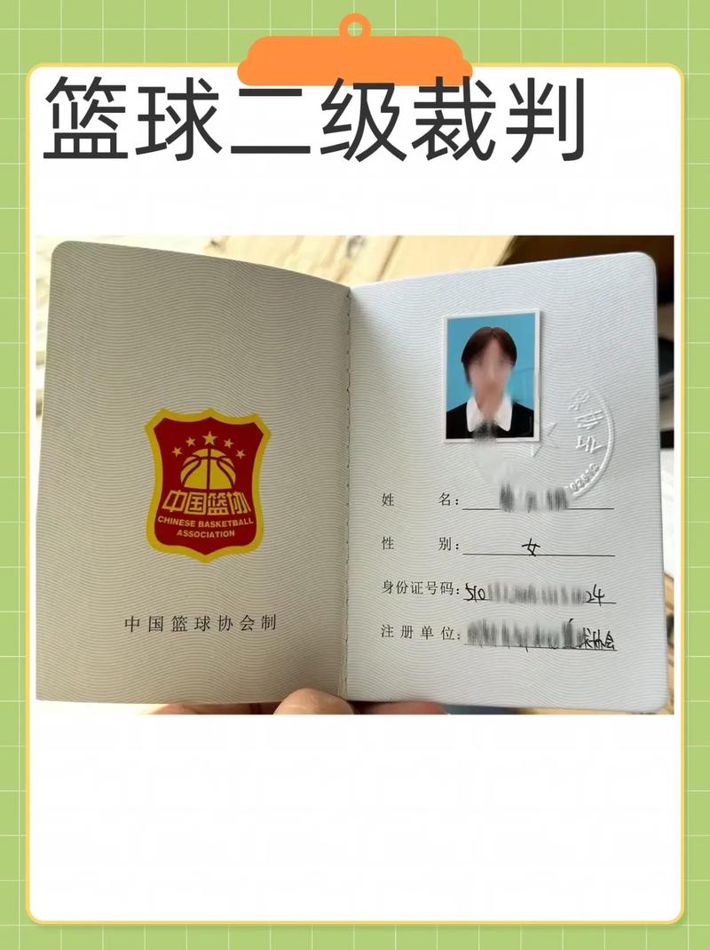 二级篮球裁判证编号查询，二级篮球裁判证编号查询系统